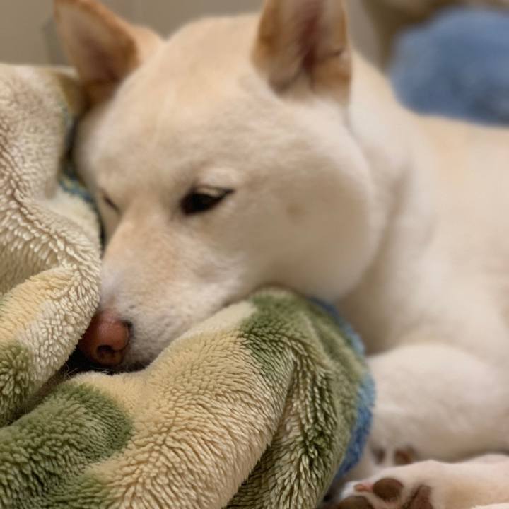 A1056832 4fe9 4280 8087 460790745aed 1556109544018