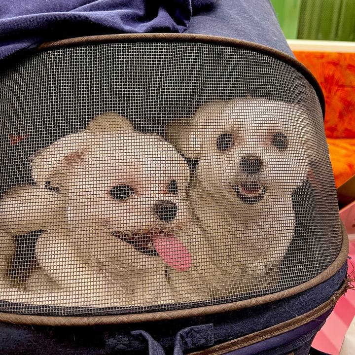 A105707f 9282 4698 9558 d88097a3c0e5 1674390694510