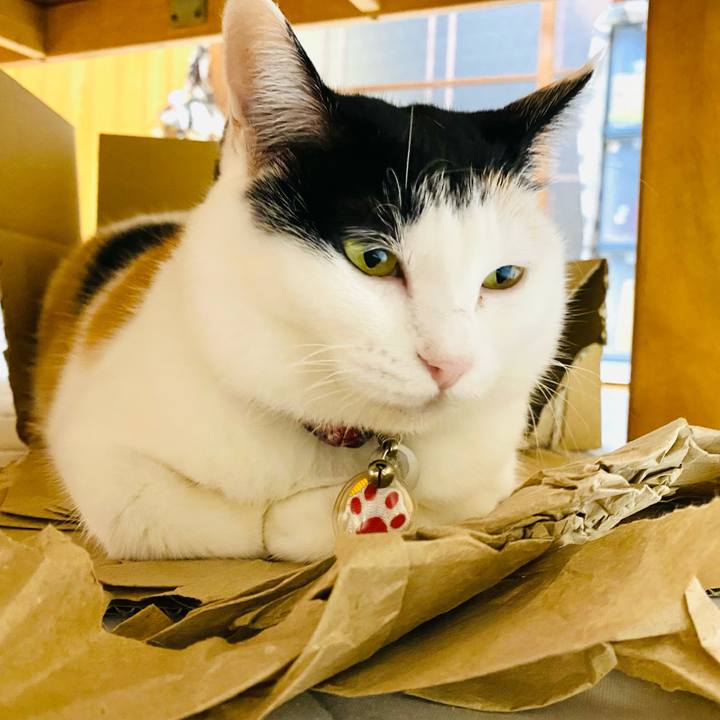 A105908e 00cd 4712 ac23 1fbef67dc977 1729866291699