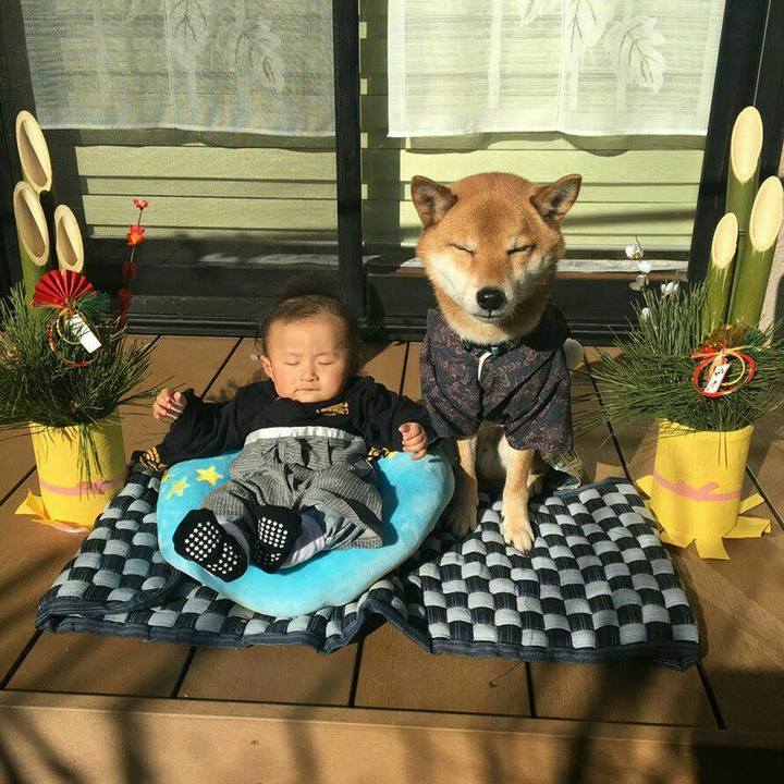 A105d519 ca13 45c3 b4d0 1908b6bc413c 1546700024676