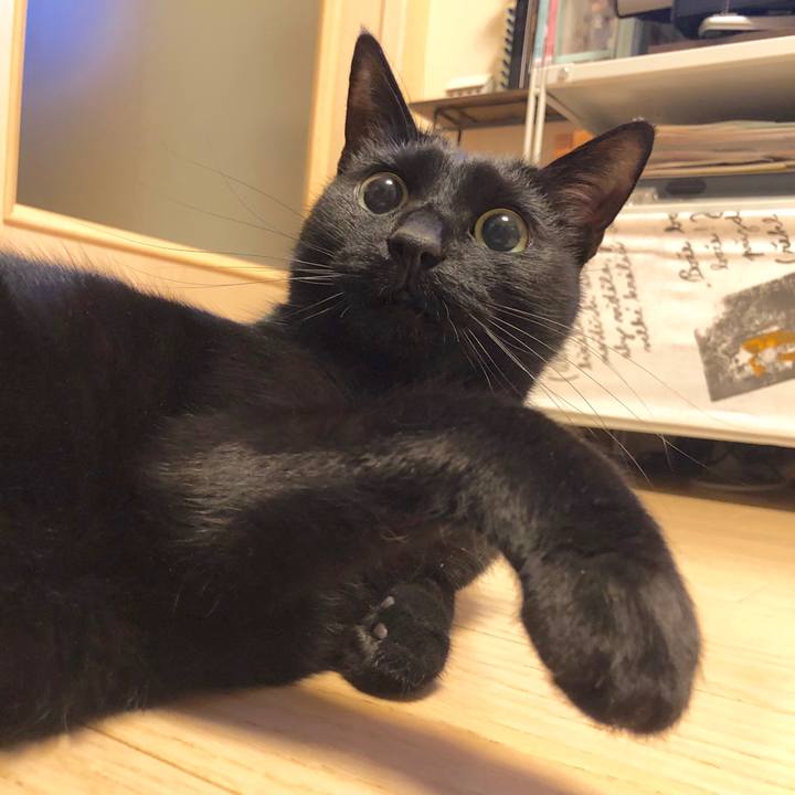 A105dea2 3098 49d9 9d8d a9e258b894b7 1583065011119