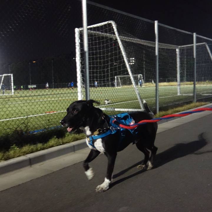 A106645e 6a16 4764 adc0 31c8a61727a7 1606212144213