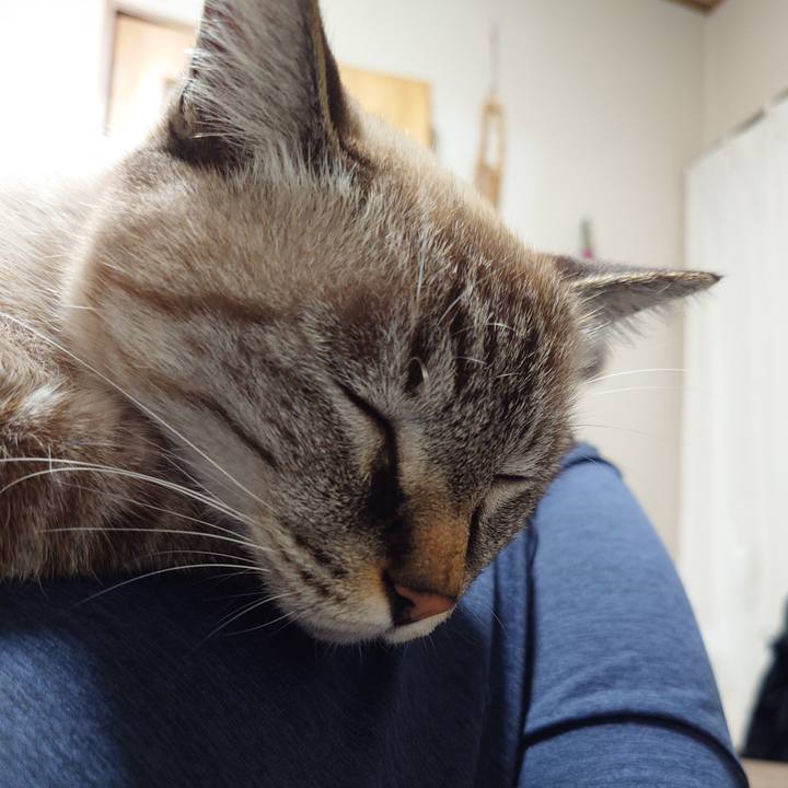 A1066a7c e2e6 4501 8656 bb76b6c05433 1731413282230