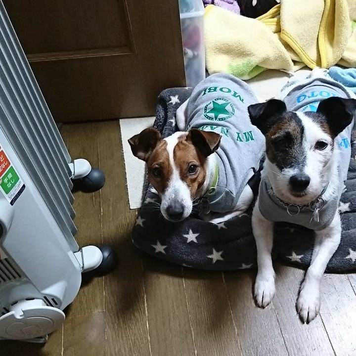 A1066c28 8e80 43d9 a50f d11109a4548d 1577582750338