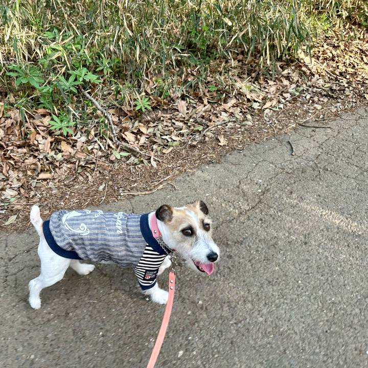 A10679d0 46b9 47c0 a3cf 6e8183a27a44 1713145282458