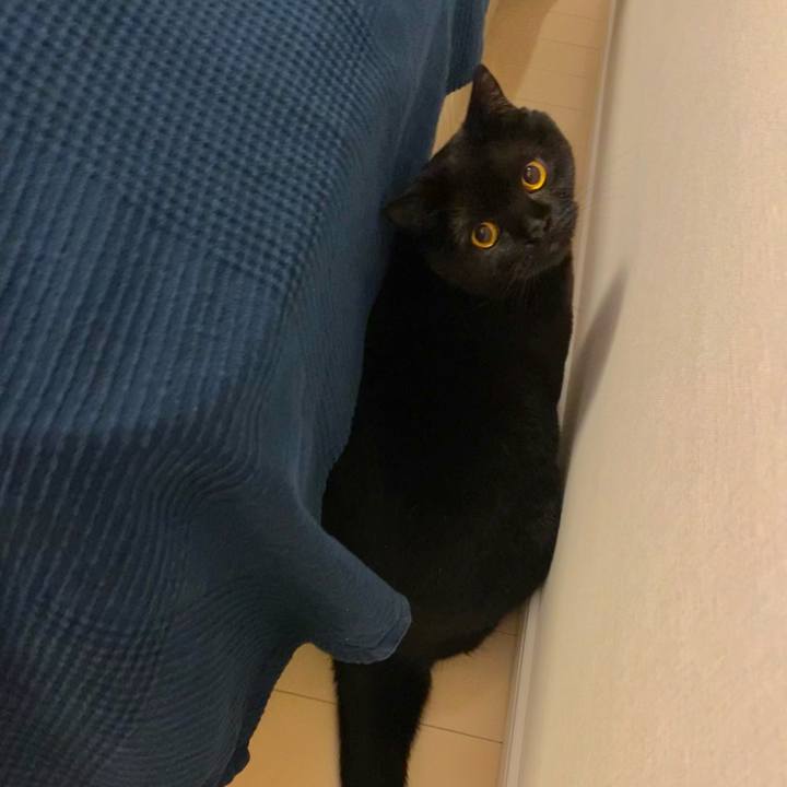 A106a6a3 9961 45ad 8642 bd667b6c4f4d 1616846310080