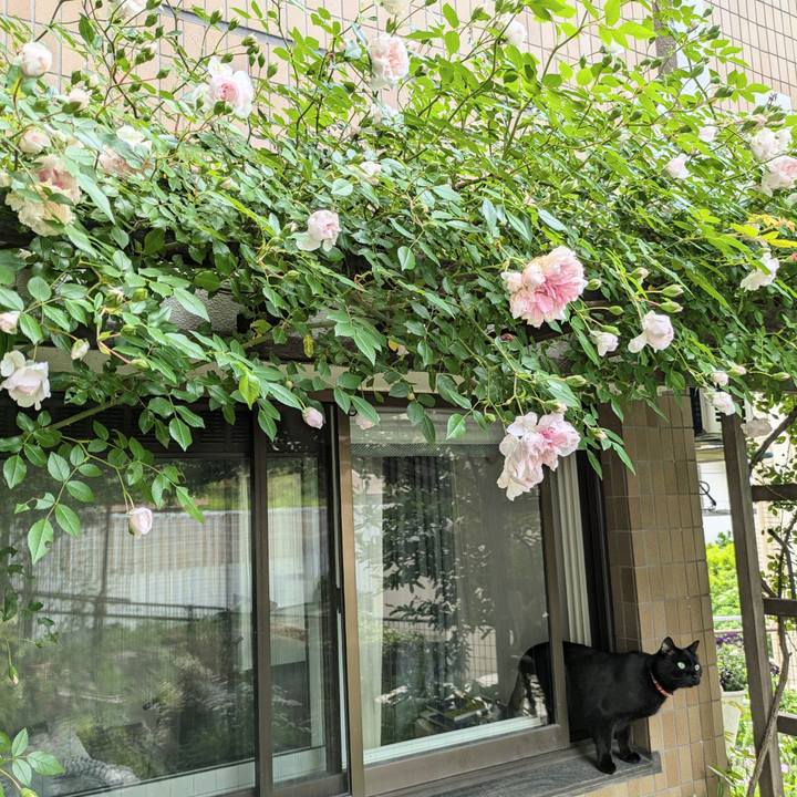 A106c7f1 637b 4cd3 b62e aede9efb9a5a 1762672884386