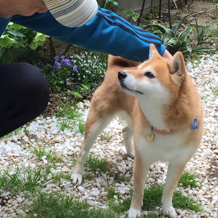 A1071f93 6e0e 41b6 bb37 866424836f83 1555245270411