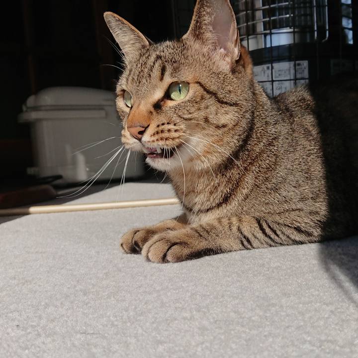 A10746a7 a34a 4a1f b1f7 9718973f153e 1614749031480