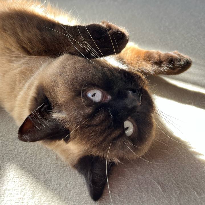 A10785ae f598 4ab9 b131 f8f981b6dd02 1648360979523