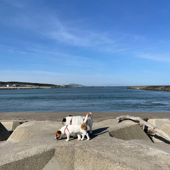 A107916b 2af9 4966 a537 8295a1fde468 1620776190215