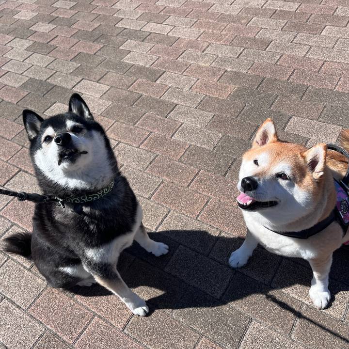 A1079d05 a149 4ca3 bc03 4b5671ceae1d 1710045523130