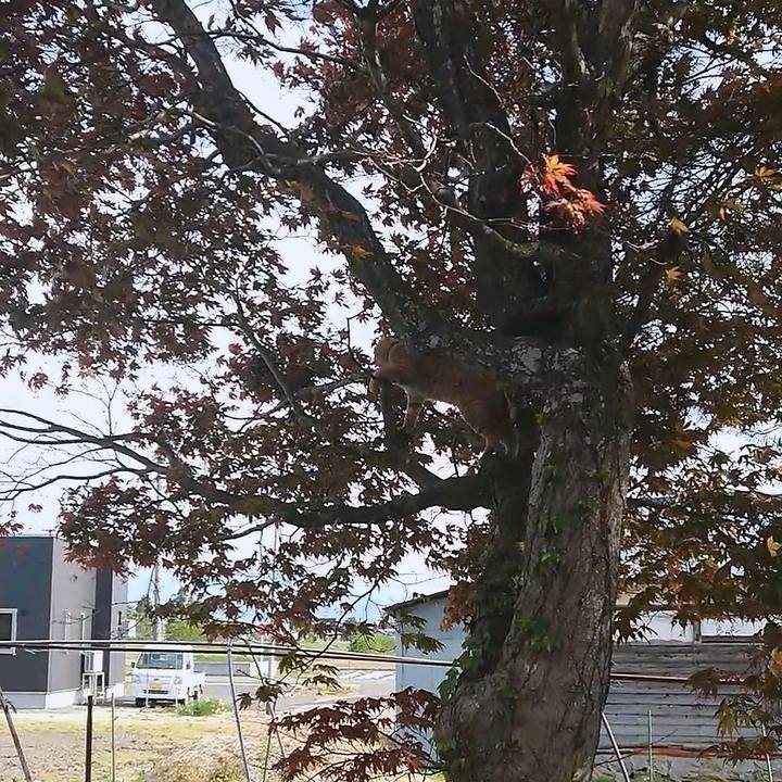 A1079e64 2dff 496c 8f81 791497dabe8f 1651829728341