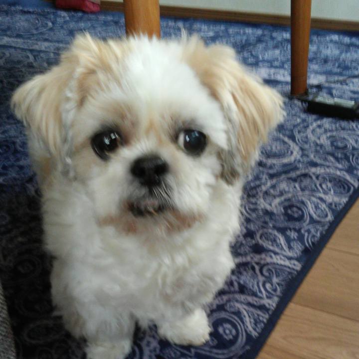 A107ae1a 9b49 4e5b bea9 19cad78b6f8f 1508226210259