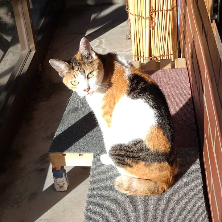 A107bee2 610c 498c ace9 968bec3db6c5 1632465859221