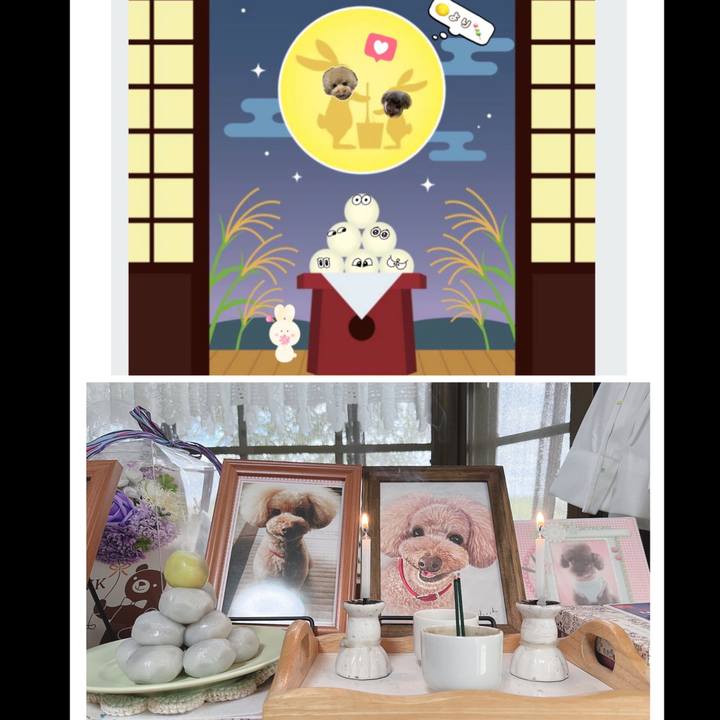 A107d905 b96b 46b0 a875 7cf5c080af78 1662882817891