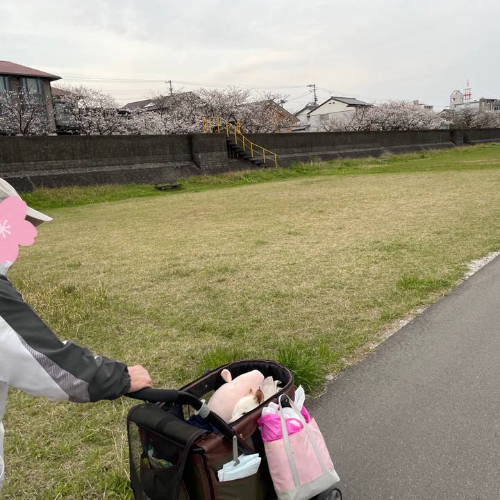 A1080add 0cc6 4d84 909a 24325183d6e5 1680186425091