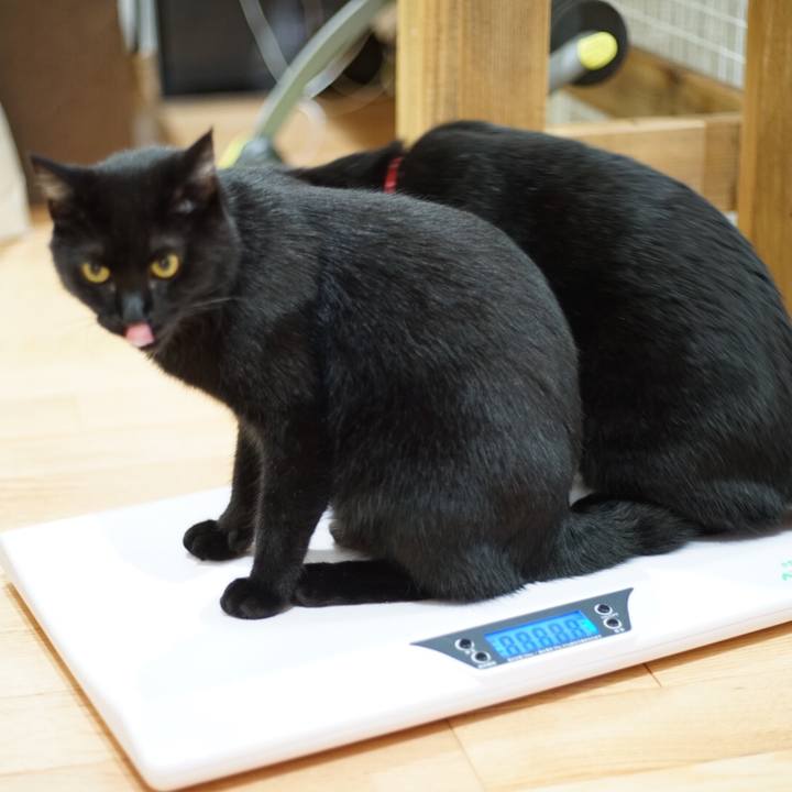 A1081fcf 028c 4f7e 8b52 0590d465db1c 1535339609547