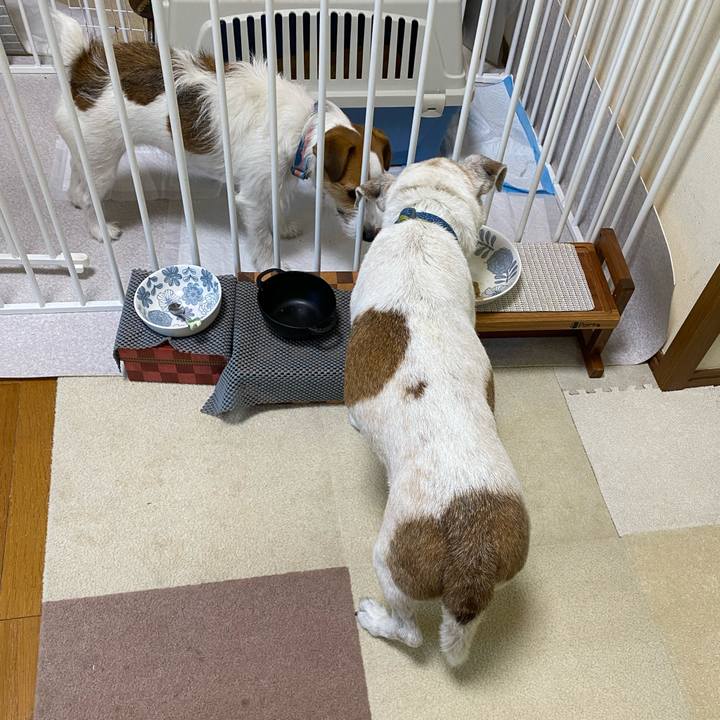 A108215a 6510 4546 b341 d07df08ede18 1722211379059