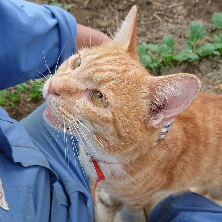 A10825df b2da 45d7 a39c 810707b3430d 1569741744597