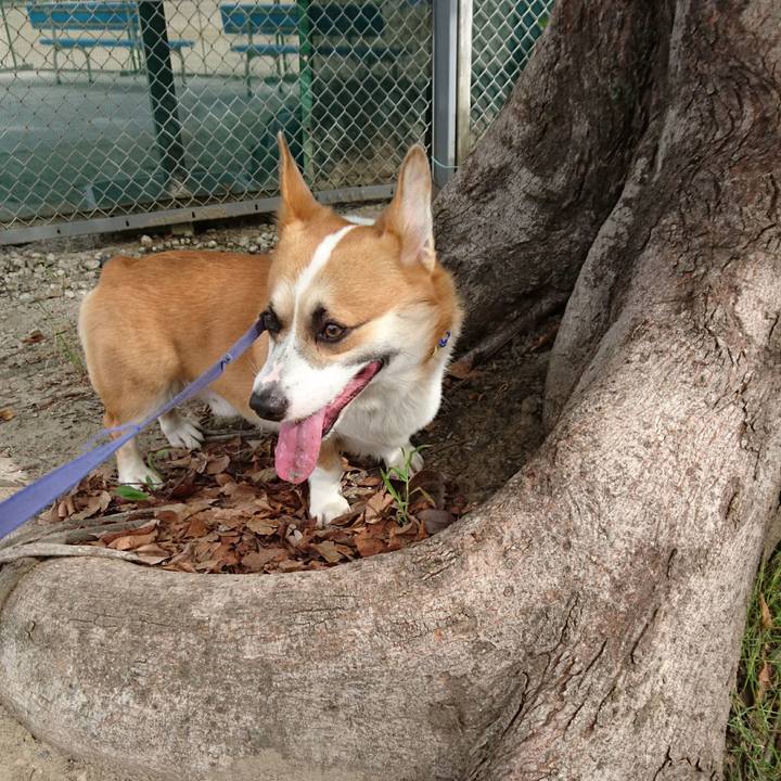 A1082dd4 3f1f 4242 9dd1 5d1ec1596363 1600906241461