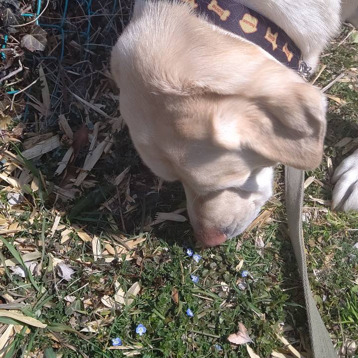 A10851ed 7b33 4112 a5b4 71e262c00150 1646875503502