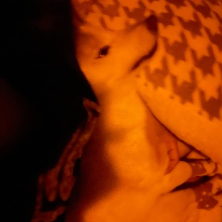 A10871b4 8e17 4076 870f 96be6624e6c5 1684767520473