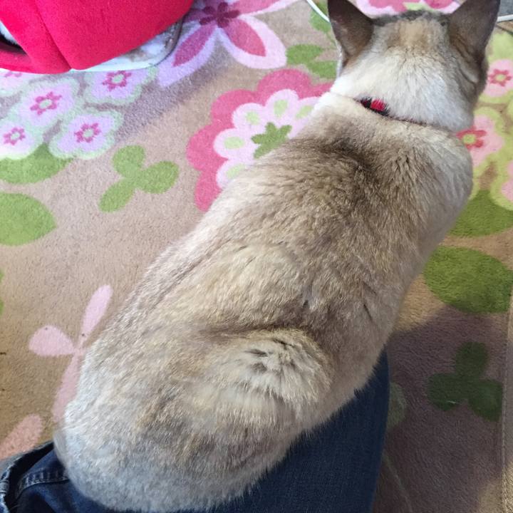 A10881fe 1851 48cc 9dd2 cca55932348a 1519599281068