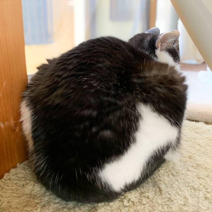 A1088463 a94e 41f7 ad38 67f640ced454 1574646796277