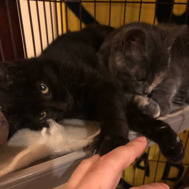 A108a0cc fda3 4fb7 9c36 015883b59f8a 1581294484653