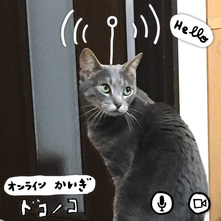 A108a698 0814 426a 86b6 c03b70e4adb7 1590742182330