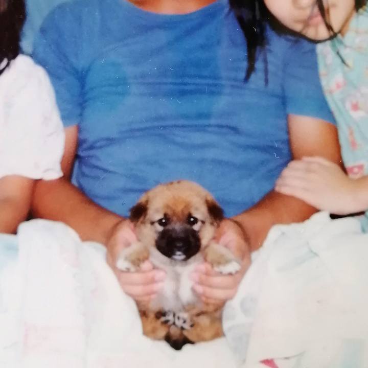 A108d1f4 f812 4b4d 8f30 b628209d10ac 1630369299286