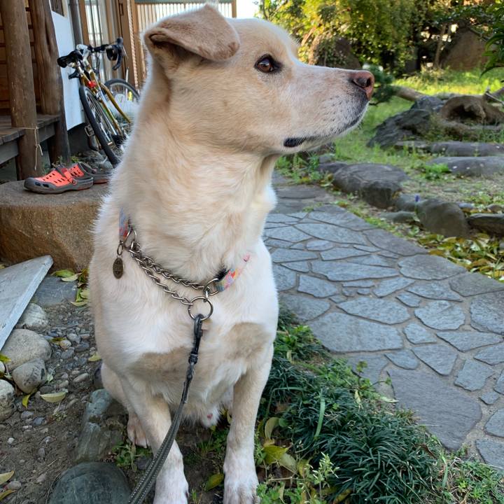 A108e85e 543f 4807 81bf 6a463d4de0aa 1554082541116