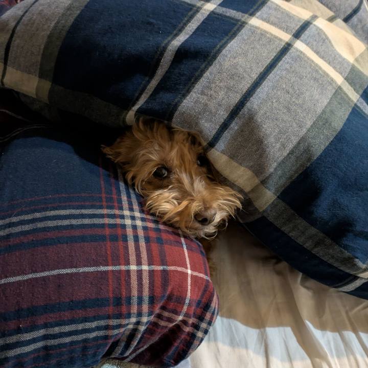 A1095e0f 8a67 4c5f 8c28 01b4860737fb 1737549166797