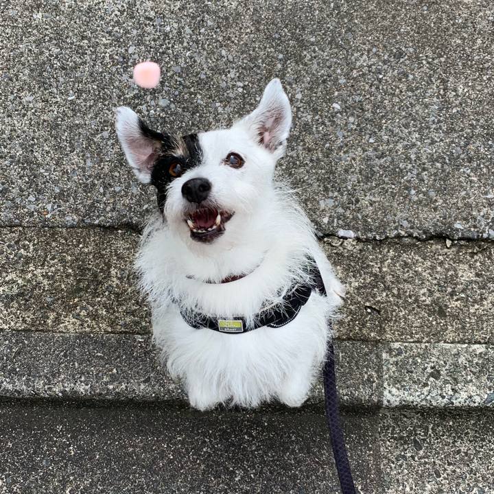 A10977a1 be59 4367 831b 30c5f0f170a6 1752620952061