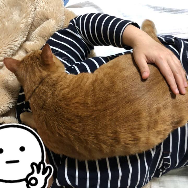 A10996c6 9696 4ce7 9bcc 60f1f9fecf8e 1583072024190