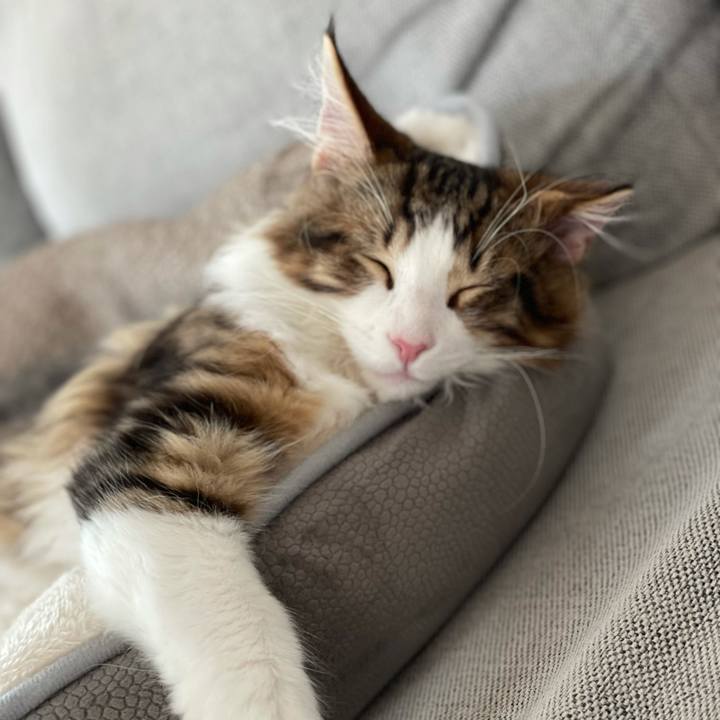 A109b07c 1774 48f2 bb51 37547944afff 1635644845673