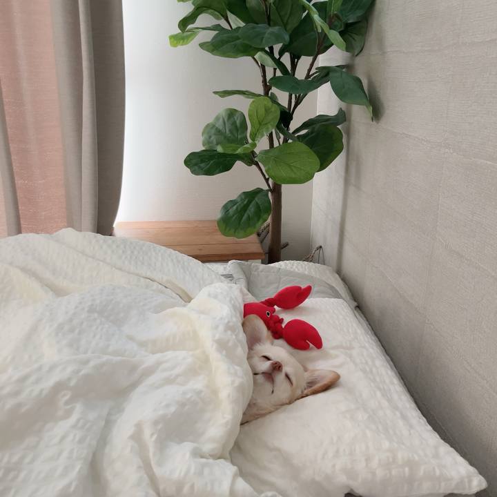 A109d833 4e3c 4e79 8cf1 bdc50ed54779 1725864522163