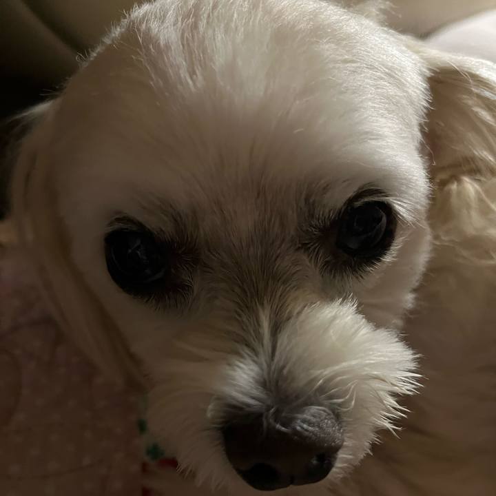 A109e4a4 9d54 4b87 ab0f 21c2e695ba5c 1697887825169