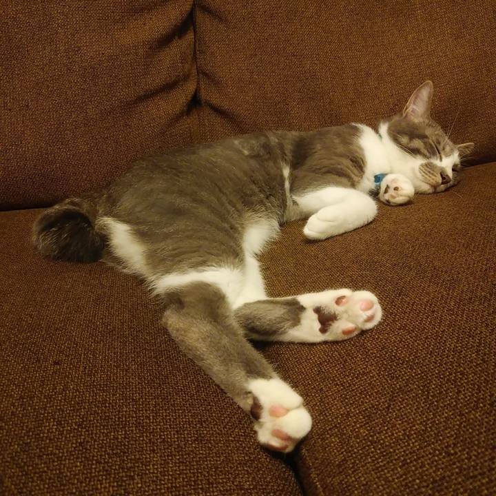 A109e571 aa3f 4d30 ab25 ed84070e8e97 1592232620207