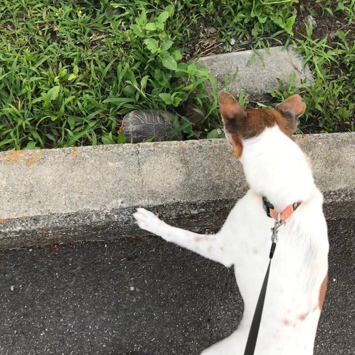 A109ee89 25de 4adc bd8b 860e88eeea46 1528542170154