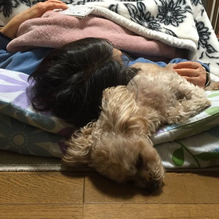 A10a0d14 9d16 4cc2 a8f8 25ee998e87bd 1549381291433