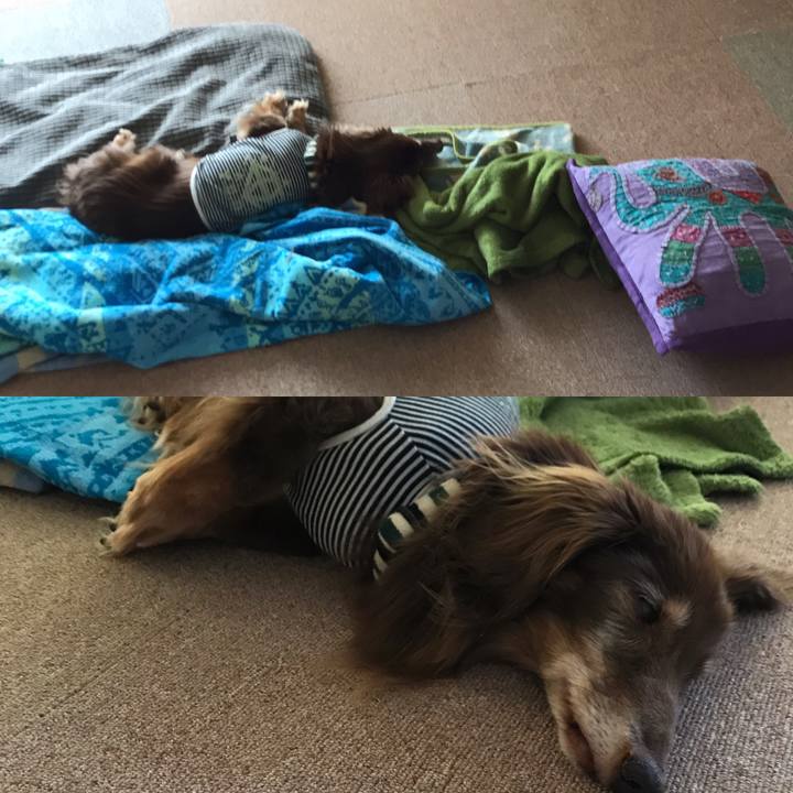 A10a52d3 a4a9 45e7 9670 feeb926376ef 1592276543797