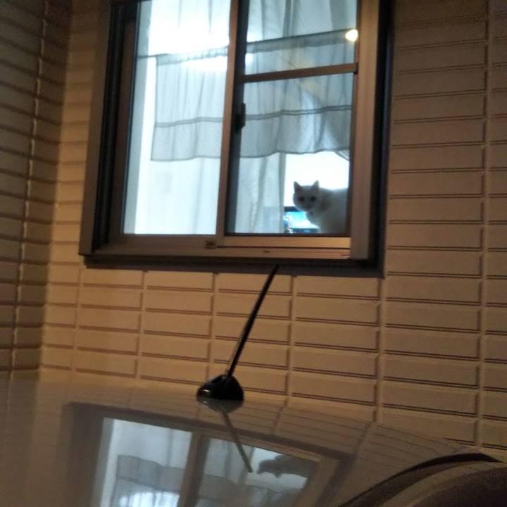 A10a6bb4 b8ea 42e9 8f89 2ae90e9cf64a 1674079332676