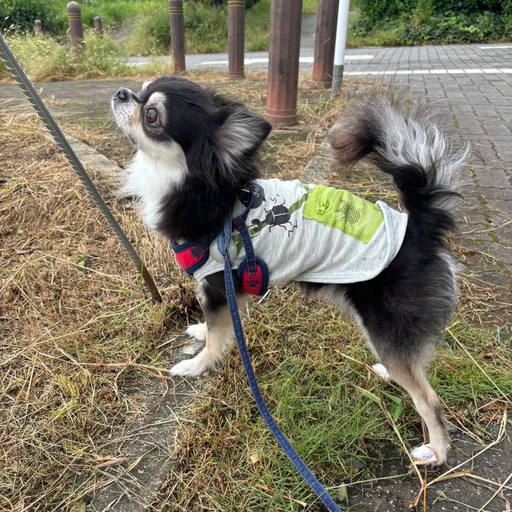 A10aa0d0 be48 4606 aeaf bb3a4bc5c5f3 1727539853896