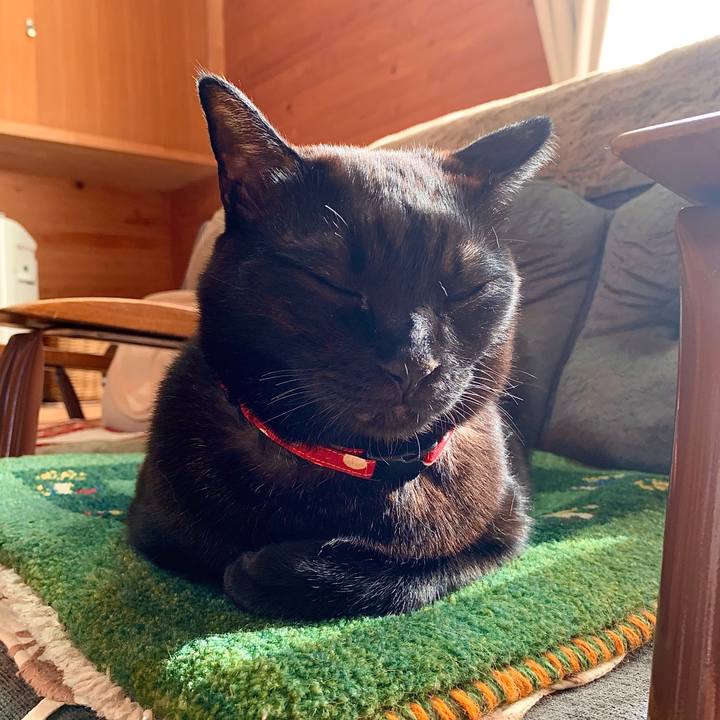 A10aa732 1ee8 492a 8171 b5975555283b 1575434015006