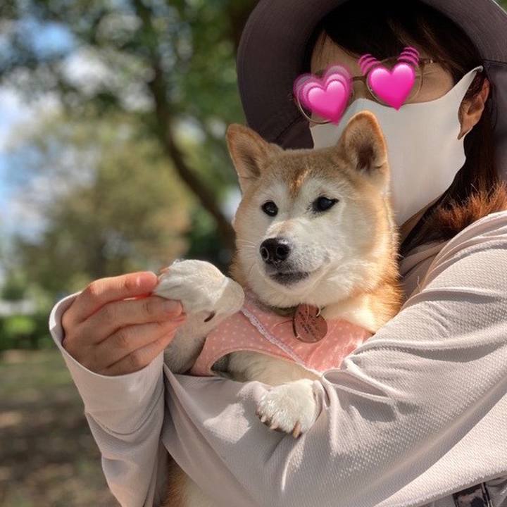 A10abaa3 5b2d 4002 ad4c cec774127556 1633352602042