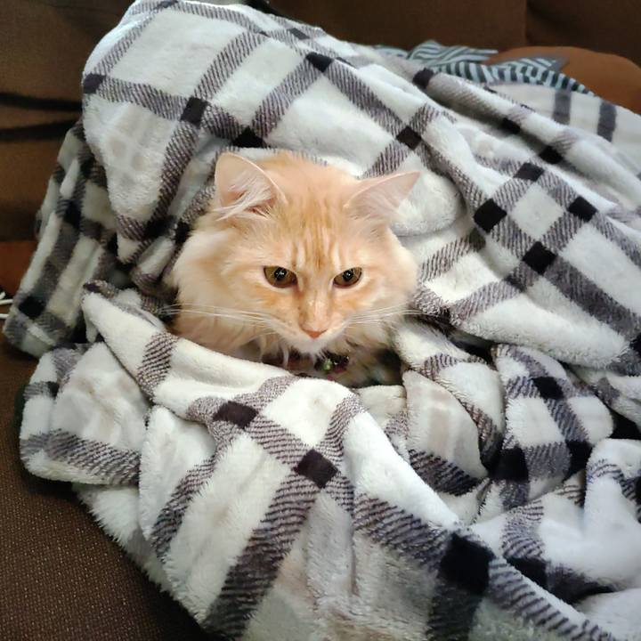 A10acef0 49fb 4bb8 b170 0412465d3b11 1697581213873