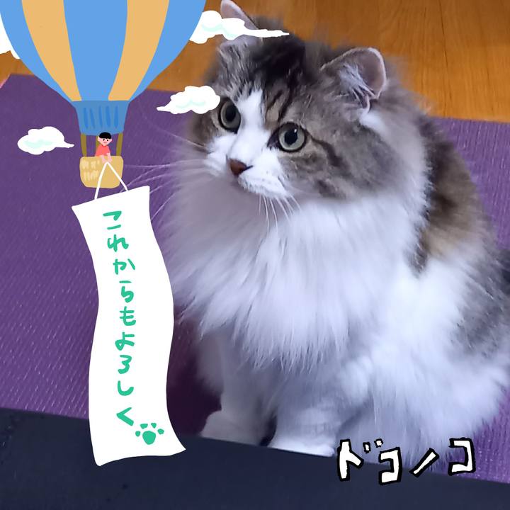 A10ad49c 169f 4414 9384 139d14f527d6 1686000921326