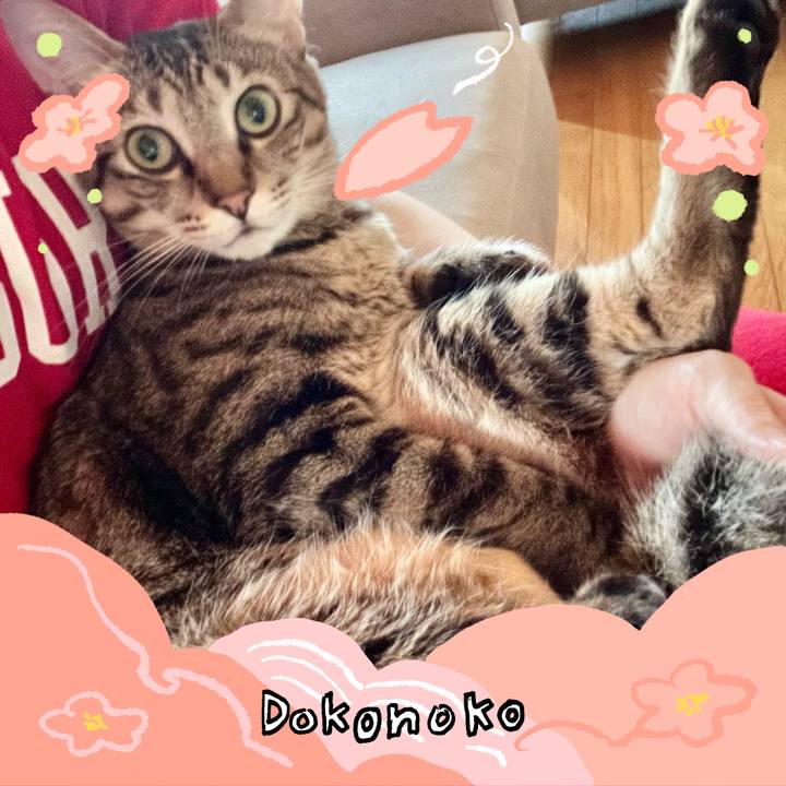 A10adbec 102c 4ff1 b0a6 3659c471a852 1775867973520